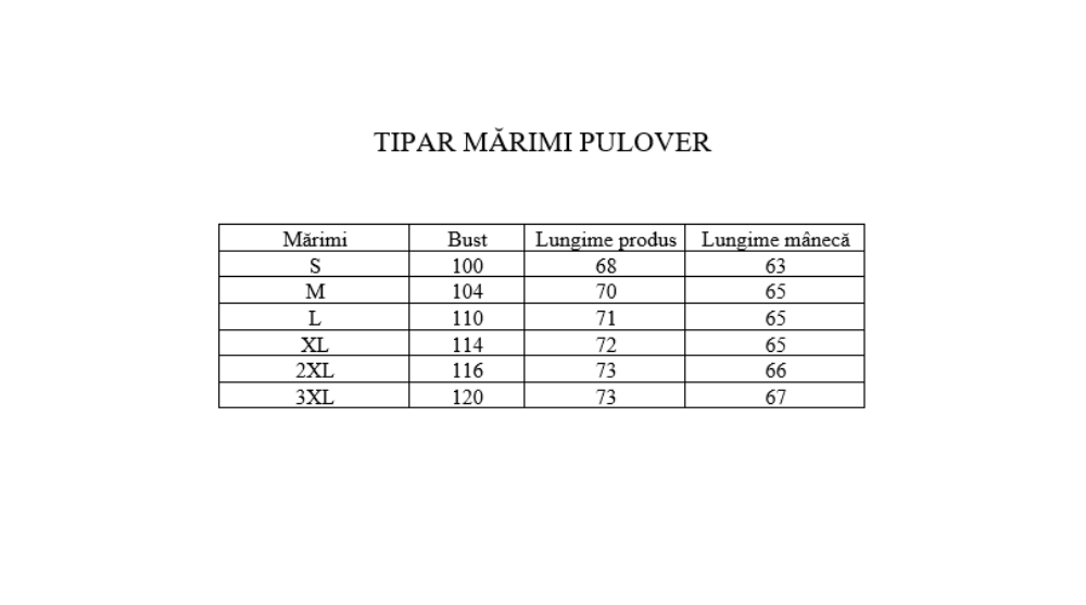 Imagine Pulover albastru 206-9