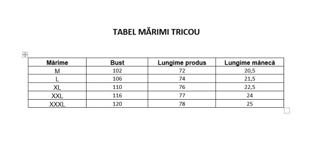 Imagine Tricou albastru cu dungi albe si bleumarin 2035-2