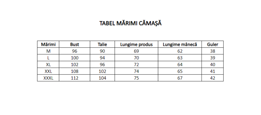 Imagine Camasa slim bleo HT 2065-4