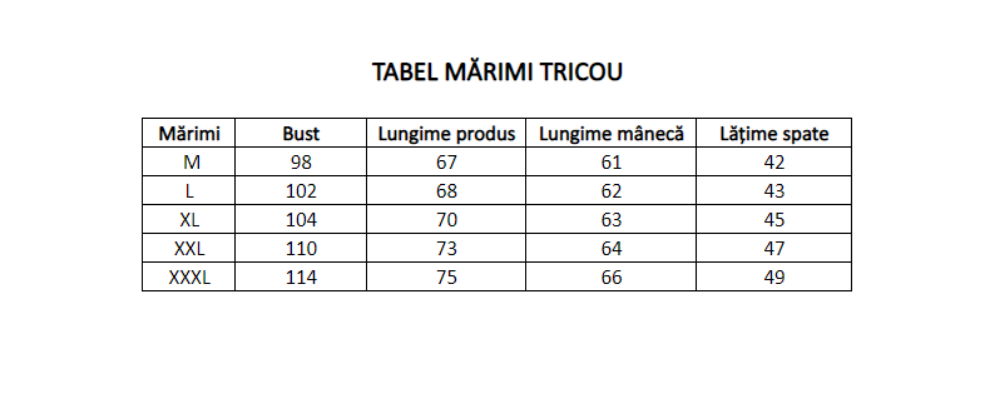 Imagine Tricou albastru 227-3