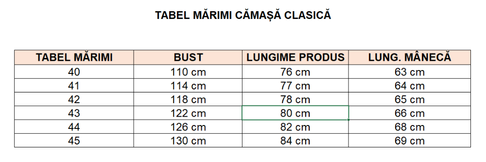 Imagine Camasa clasica albastra  005-0576
