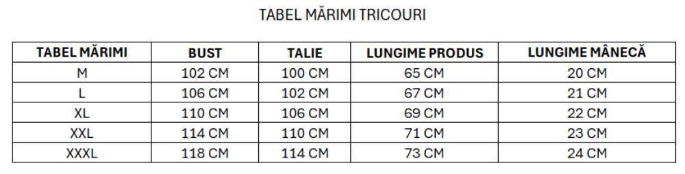 Imagine Tricou albastru cerului 1119-10