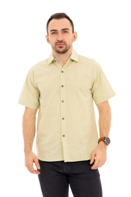 Imagine Camasa casual cu maneca scurta 303-68